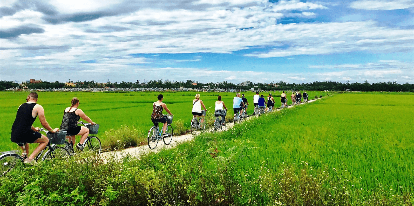 dap-xe-ngam-dong-lua-o-hoi-an