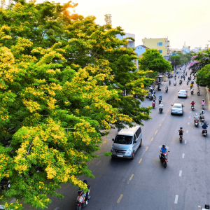 Cẩm nang Du lịch Tam Kỳ: Nên đi mô, ăn cái gì?